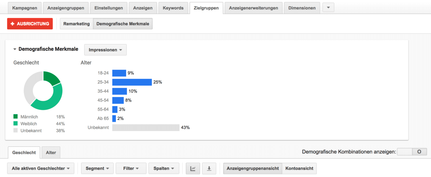 Google Ads Targeting Demograpic